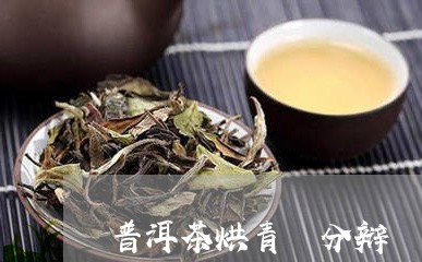 普洱茶烘青 分辩/2023041189571